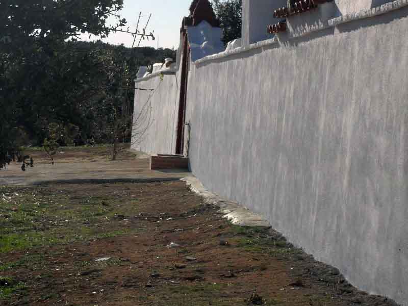 Cementerio de Alcornocal y Los Pnchez