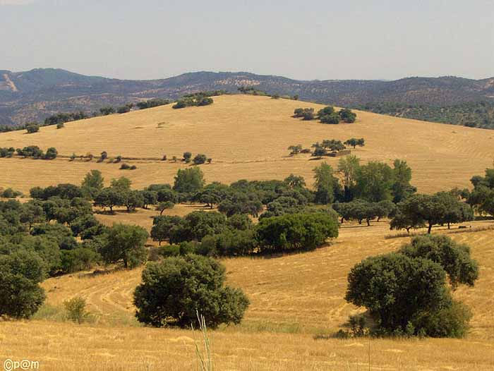 Cerro de `La Tabl`