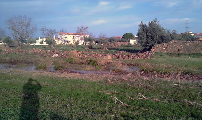 Inundaciones en La Granjuela