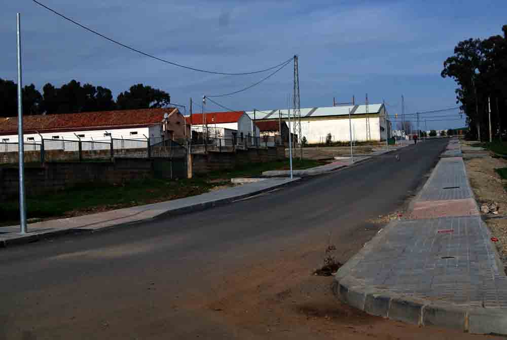 Asfaltado del vial principal