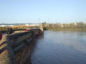 Municipios afectados por las inundaciones