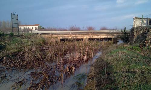 Daos producidos por la lluvia