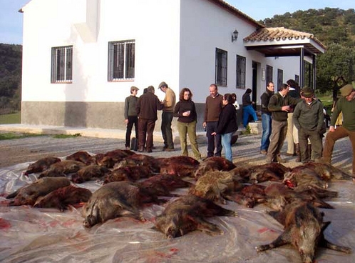  Divertida jornada montera junto a la mina 