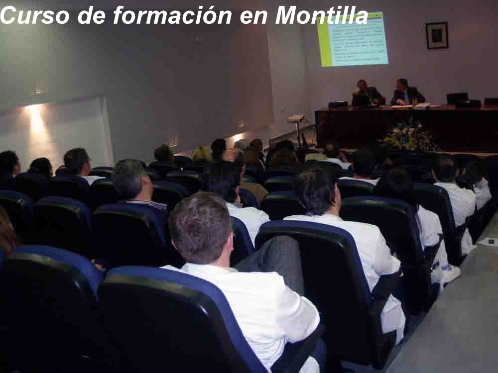 Curso de formacin en Montilla