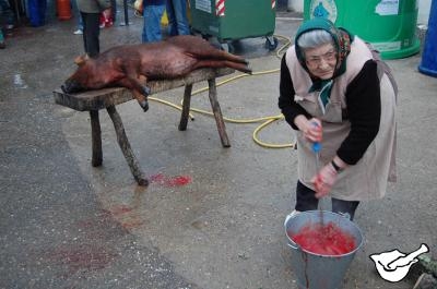 IV Matanza del Cerdo en Doa Rama