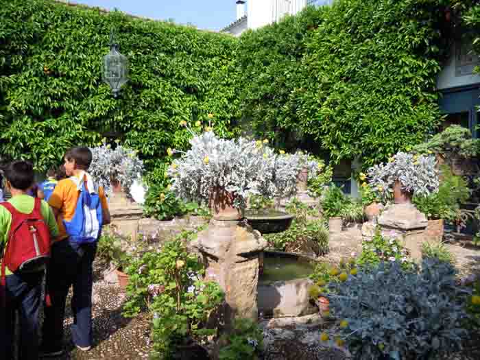 Excursin al Palacio de Viana