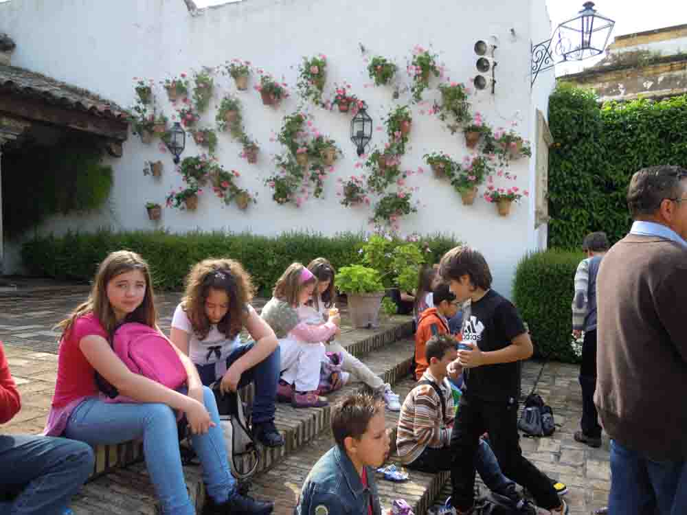 Excursin al Palacio de Viana