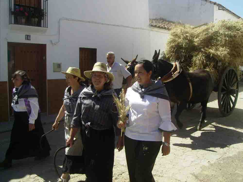  VI edicin de la Fiesta de la Siega en Ojuelos Altos