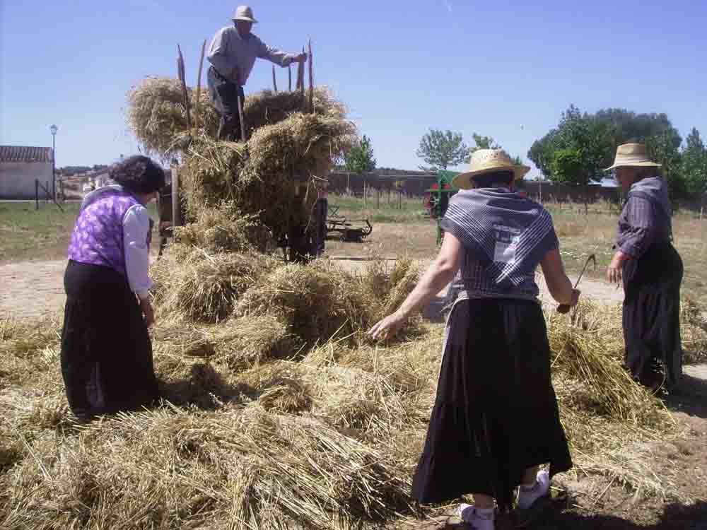  VI edicin de la Fiesta de la Siega en Ojuelos Altos