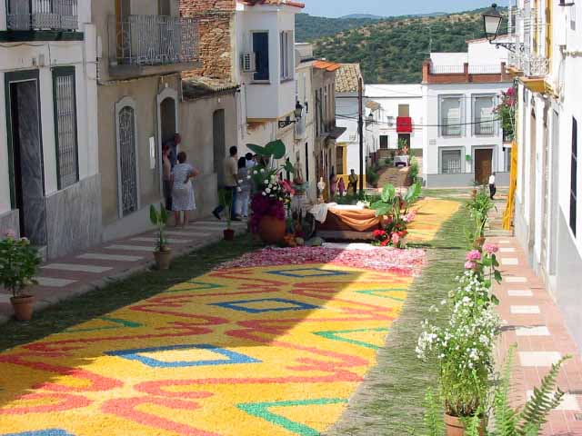 Alfombras multicolores de serrn