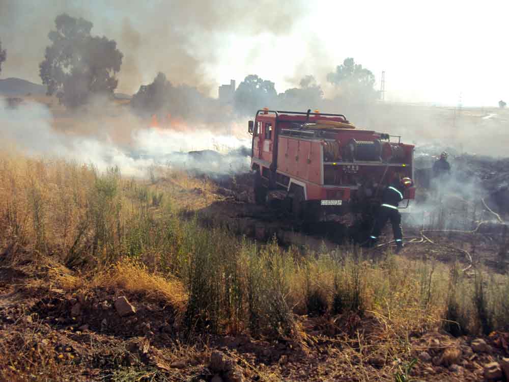 Un incendio arrasa 2000 metros  de pastizal 