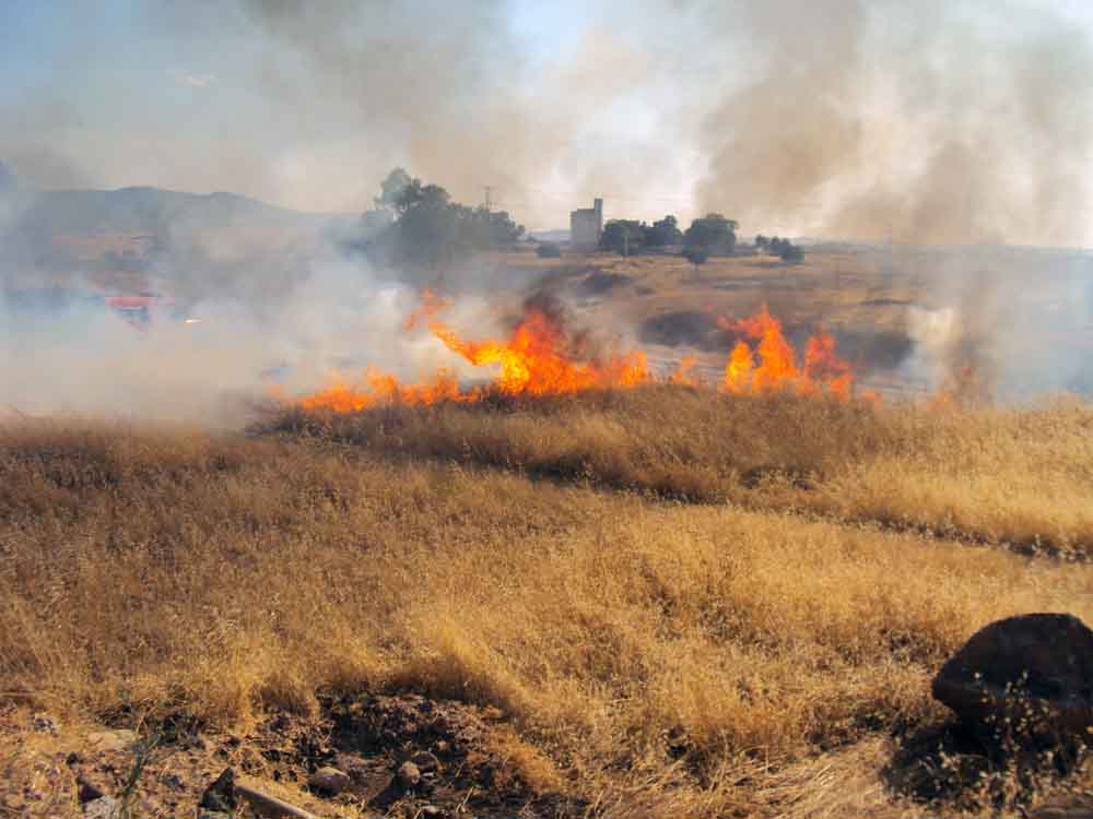 Un incendio arrasa 2000 metros  de pastizal 