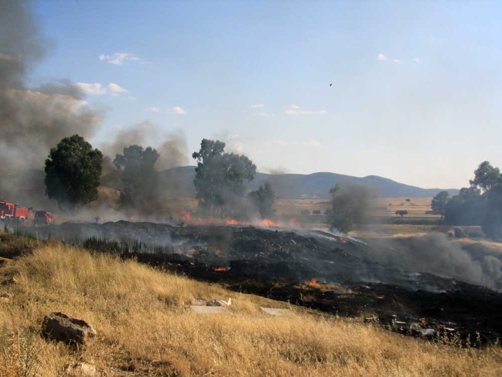 Un incendio arrasa 2000 metros  de pastizal 