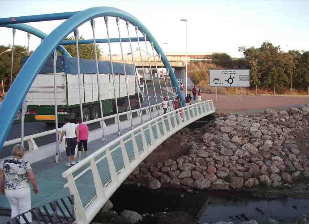 El Consejo Local de Participacin Ciudadana 