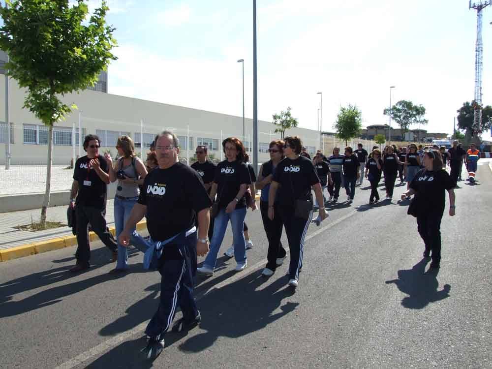 El Consejo Local de Participacin Ciudadana 