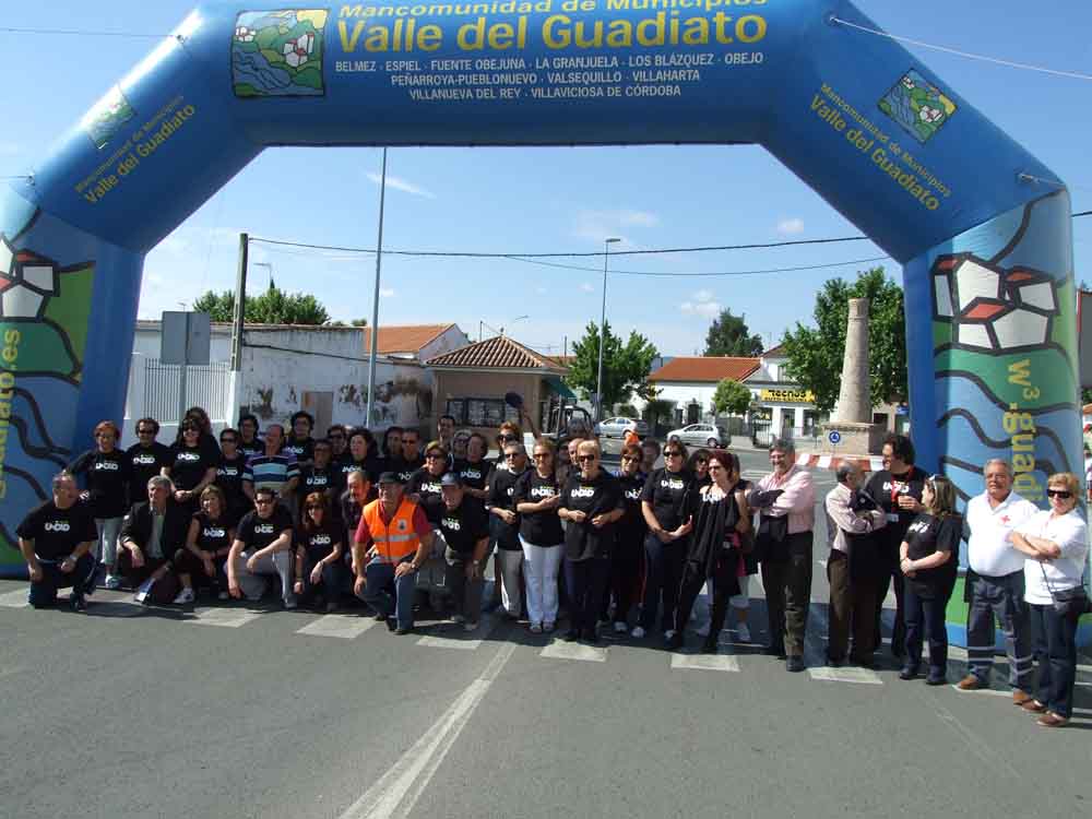 El Consejo Local de Participacin Ciudadana 