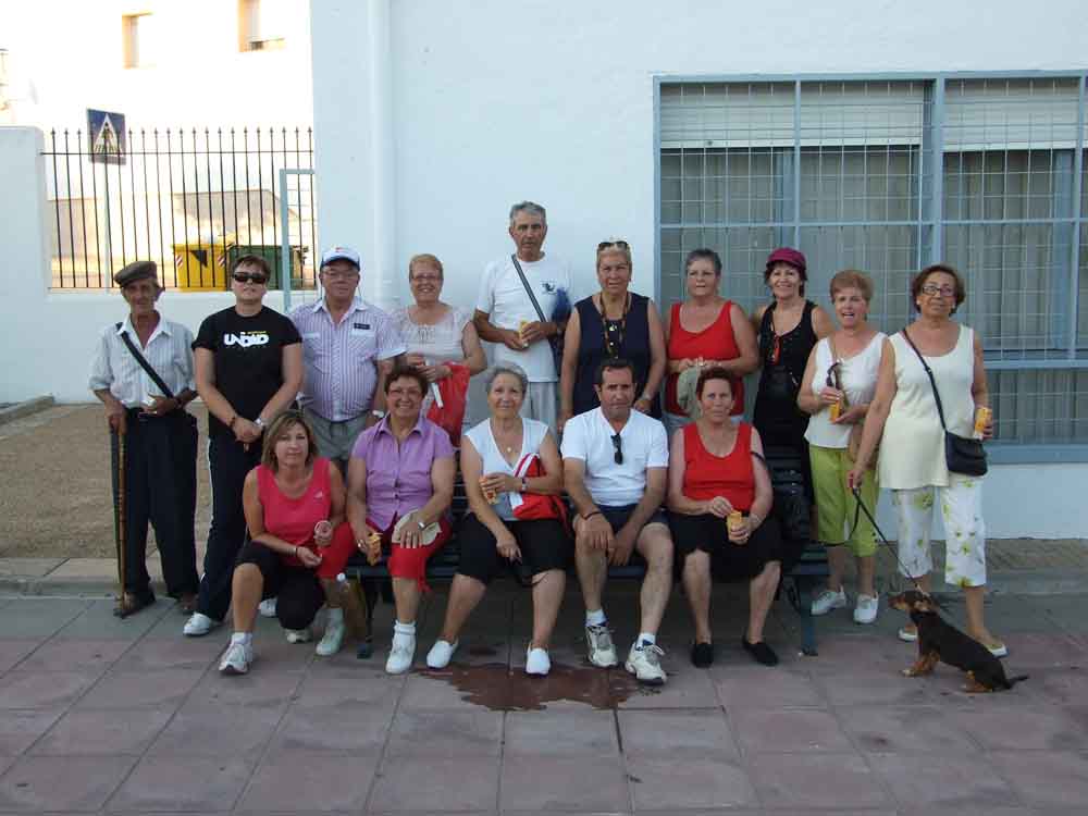 El Consejo Local de Participacin Ciudadana 
