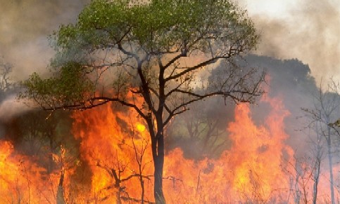 Un incendio obliga a desalojar una casa rural