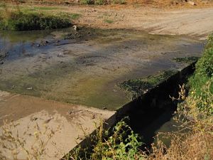 Arroyo de Villanueva del Rey