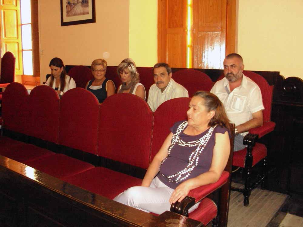 Pleno extraordinario del 05/10/11