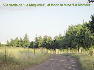 Va verde de `La Maquinilla`