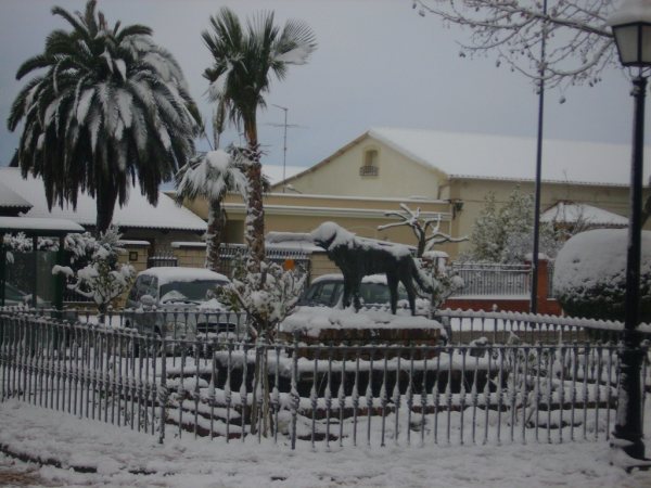 Nieve 25