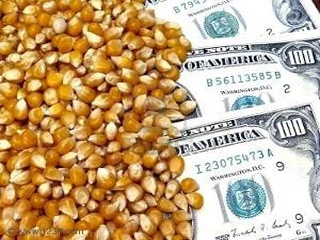 Menos escrúpulos, más dinero