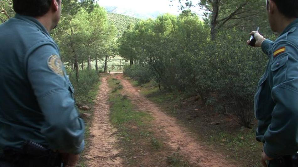 Batida de caza no autorizada en Fuente Obejuna