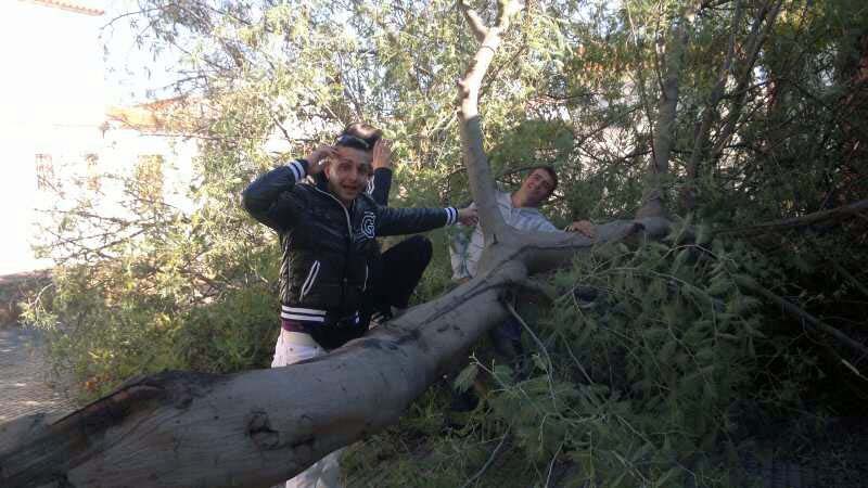 Algunos vecinos posando junto al arbol