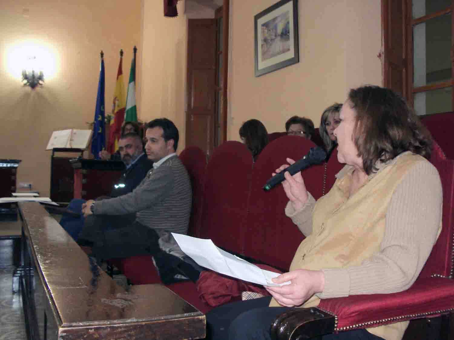 Pleno del mes de diciembre