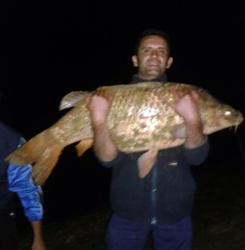 Carpa royal de 23 kilos en La Colada 