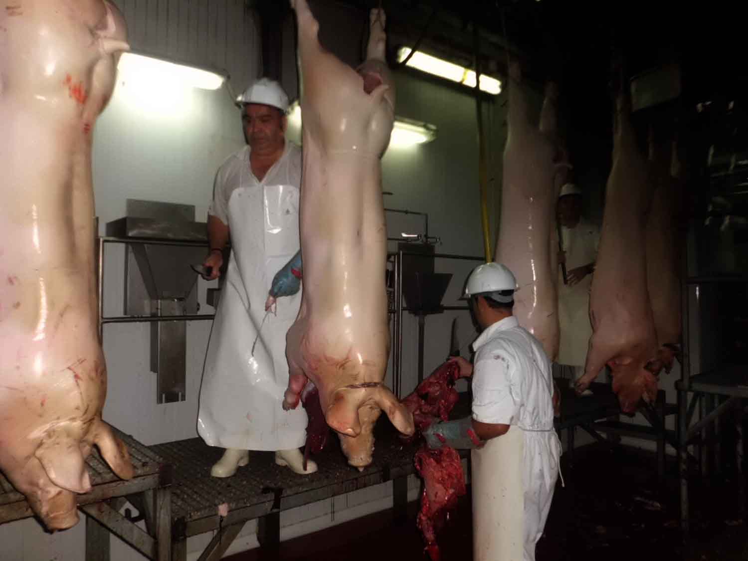 Matadero municipal de Pearroya