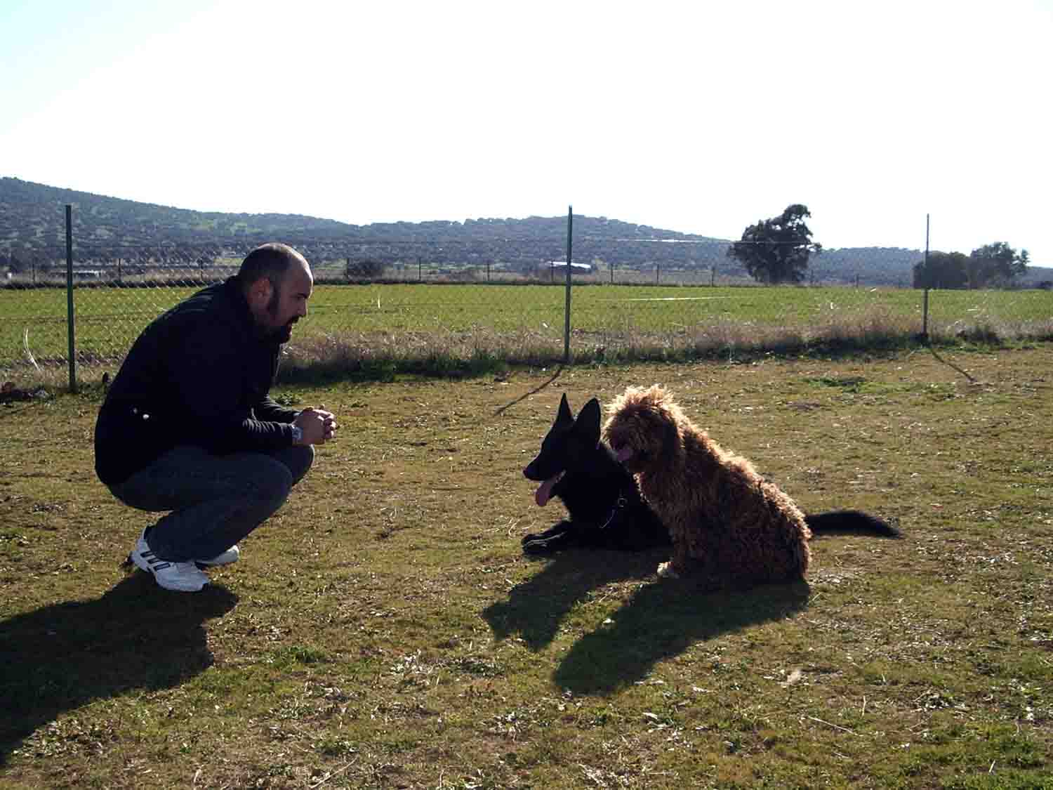 Adiestramiento canino `La Leyenda de Mellaria` 