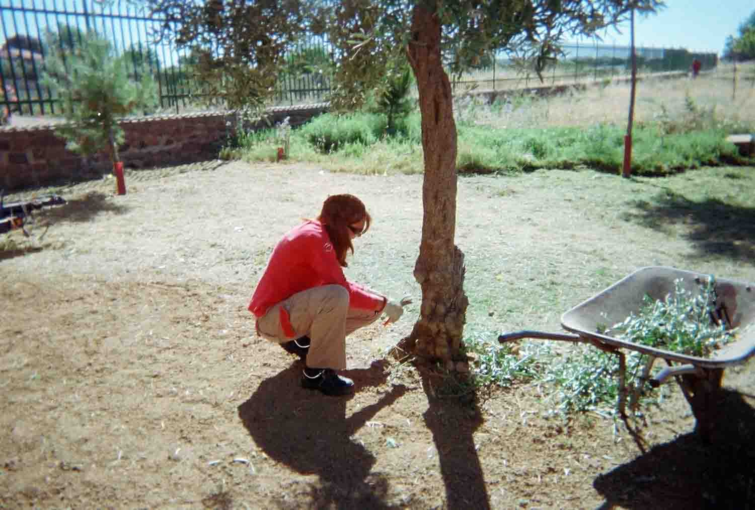 Adecentamiento de Edificios y Parques y Jardines Pblicos