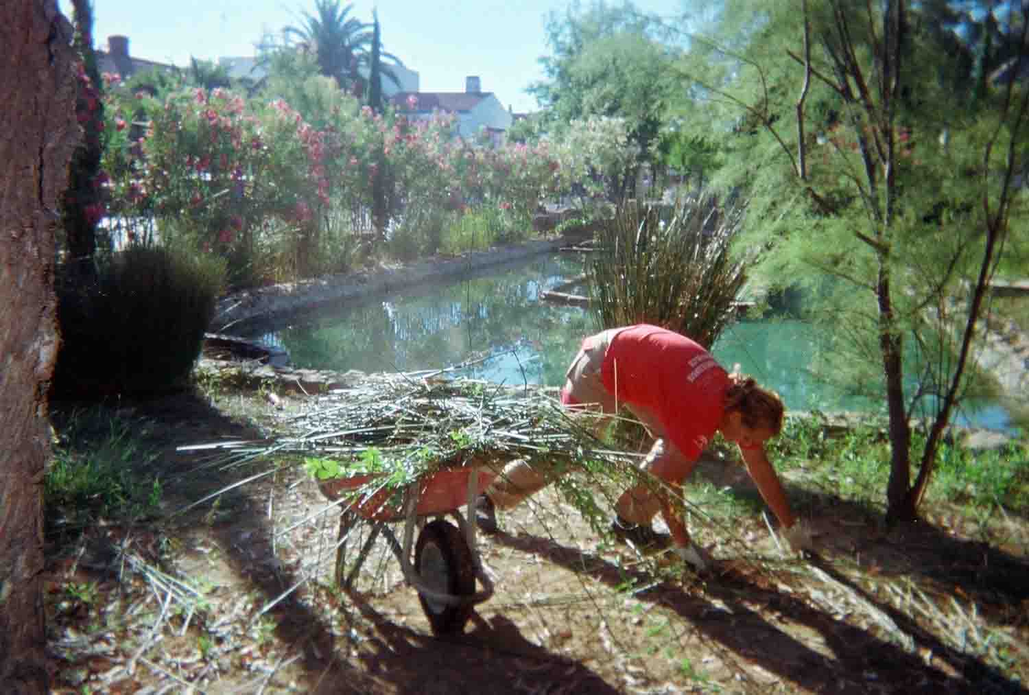 Adecentamiento de Edificios y Parques y Jardines Pblicos
