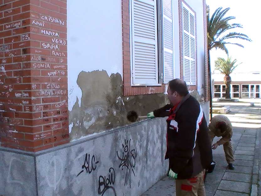 Adecentamiento de Edificios y Parques y Jardines Pblicos