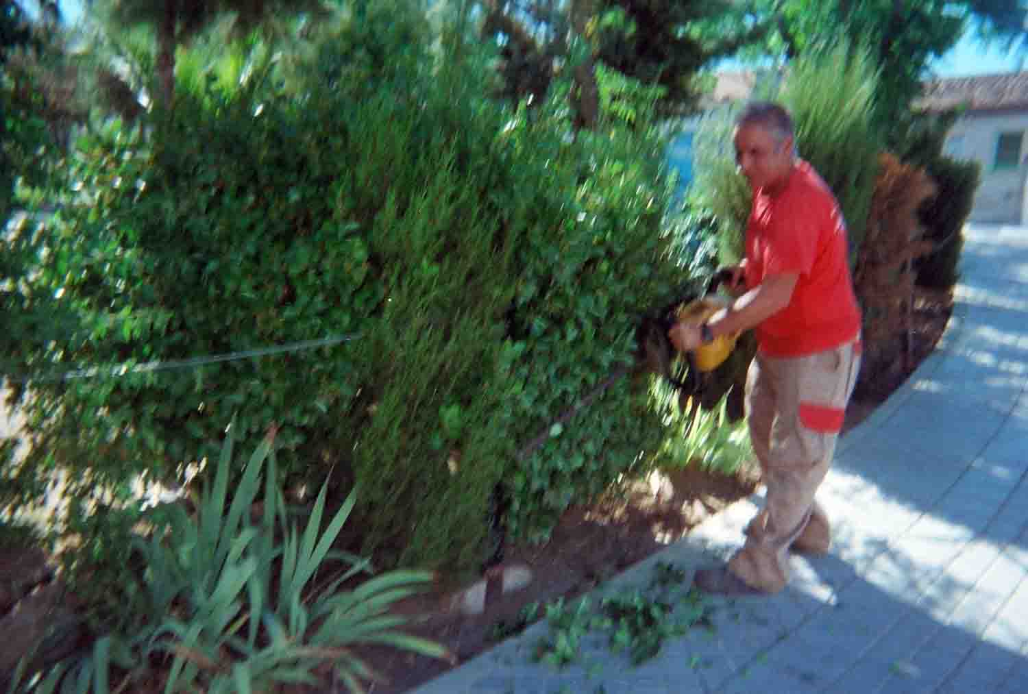 Adecentamiento de Edificios y Parques y Jardines Pblicos