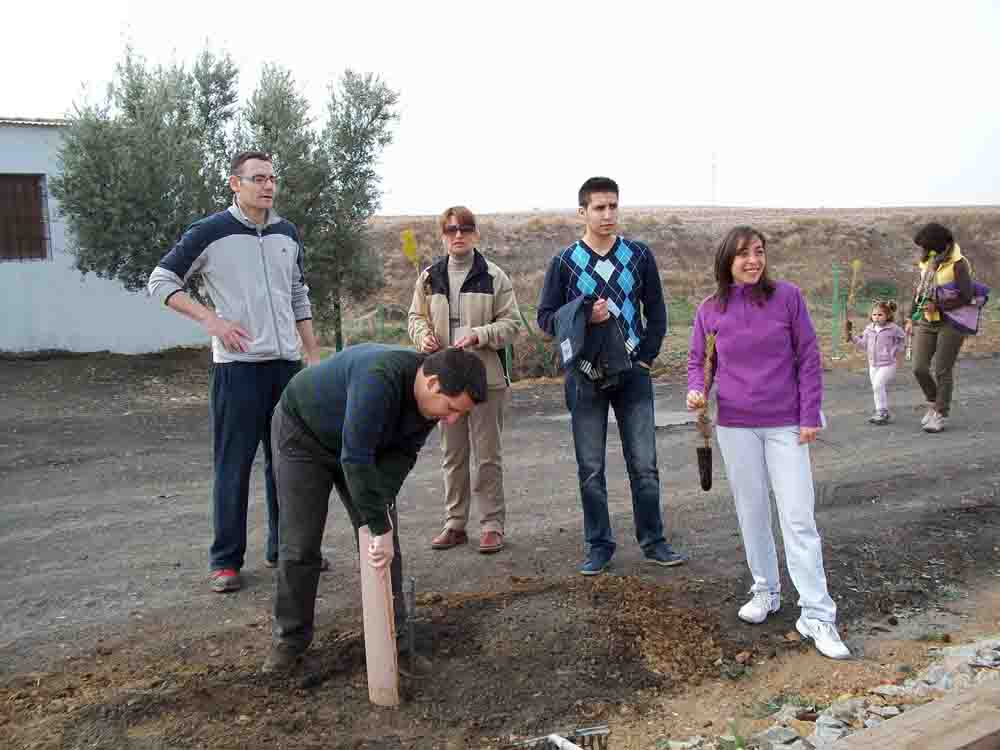 Repoblacin forestal de la va verde del Guadiato