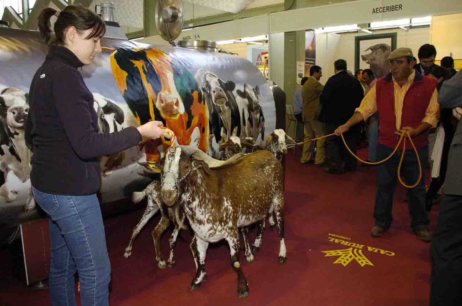 Feria Agroganadera