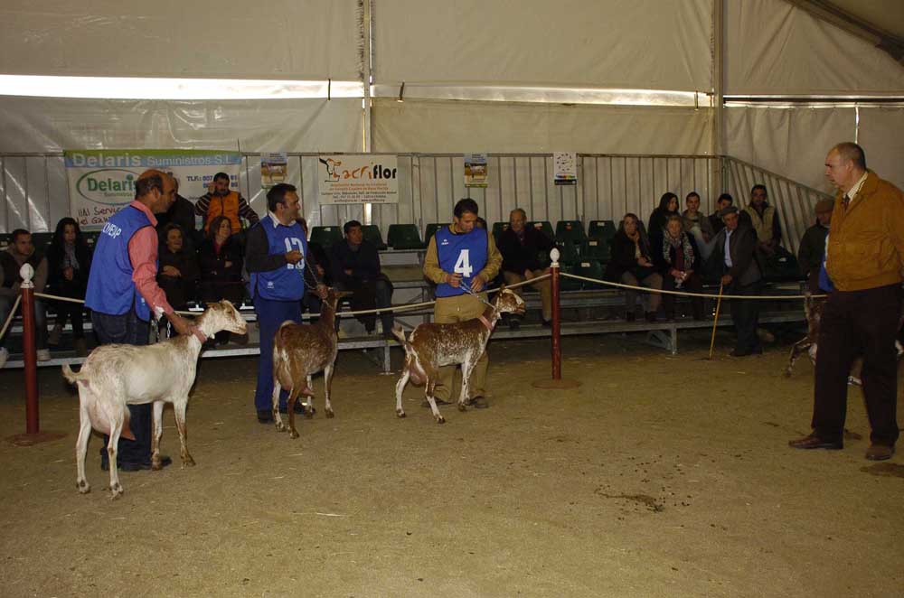  Feria Agroganadera del Valle de Los Pedroches