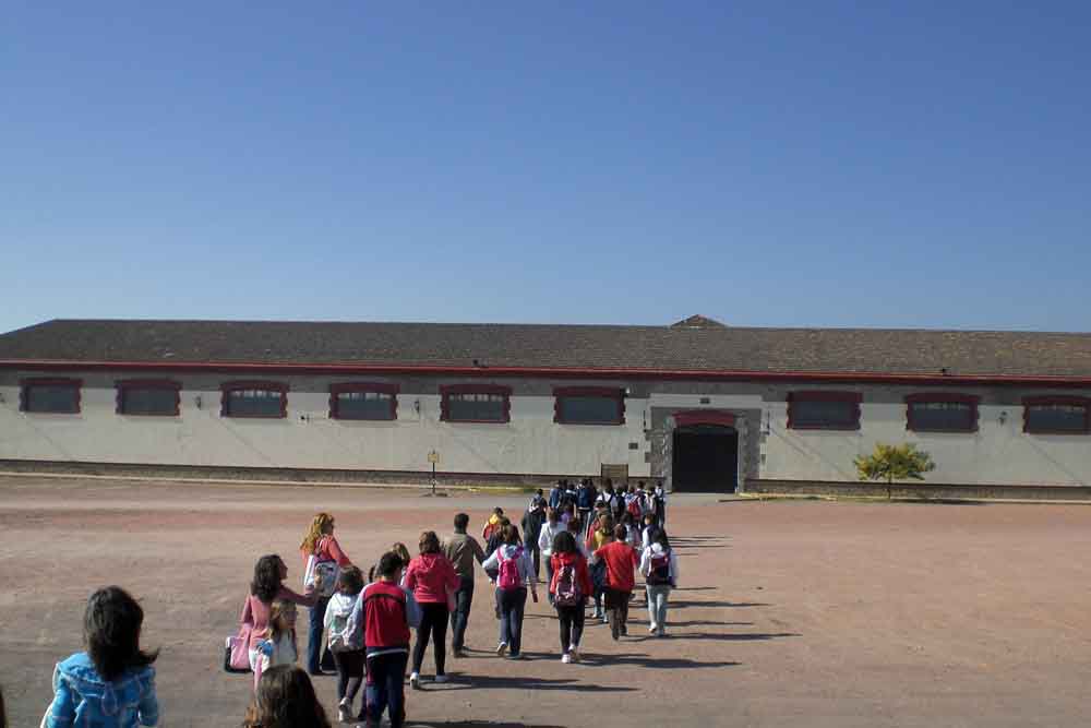 Actividades en el C.E.I.P. San Jos de Calasanz 