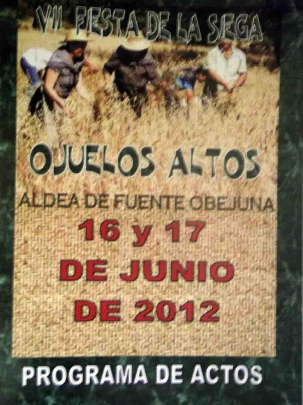              VII Fiesta de la Siega en Ojuelos Altos