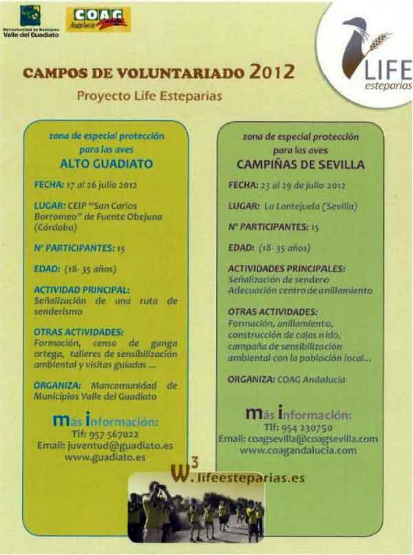   Campo de Voluntariado 2012