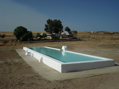 Limpieza de pilares de Fuente Obejuna