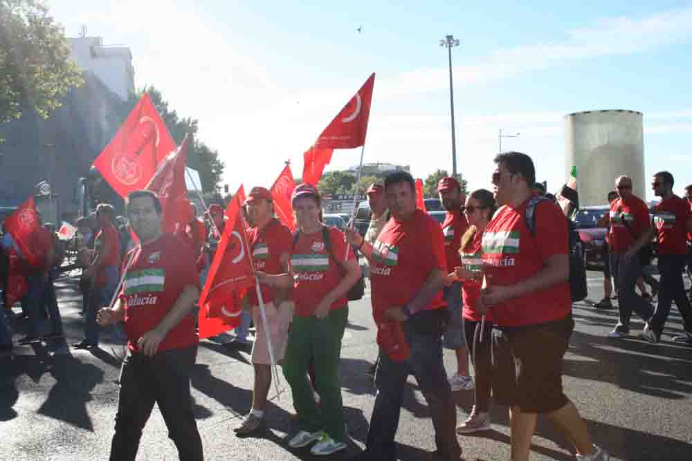 Masiva respuesta ciudadana