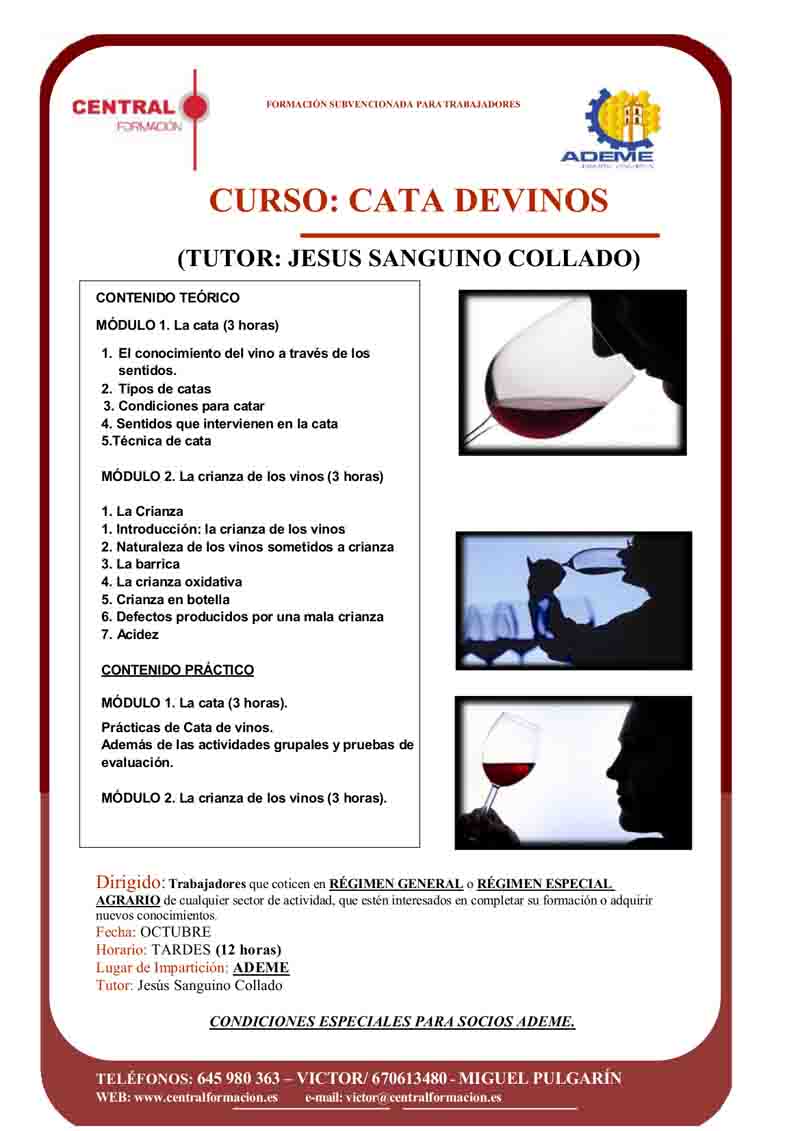            Curso de Cata de Vinos