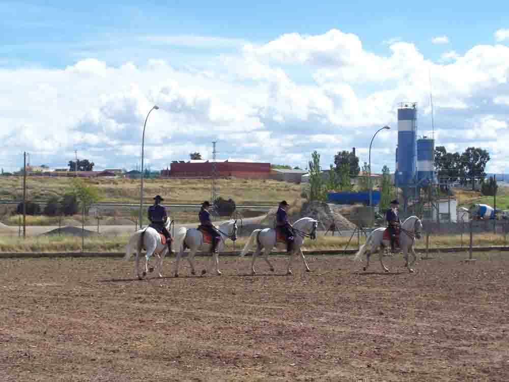 Actividades ecuestres