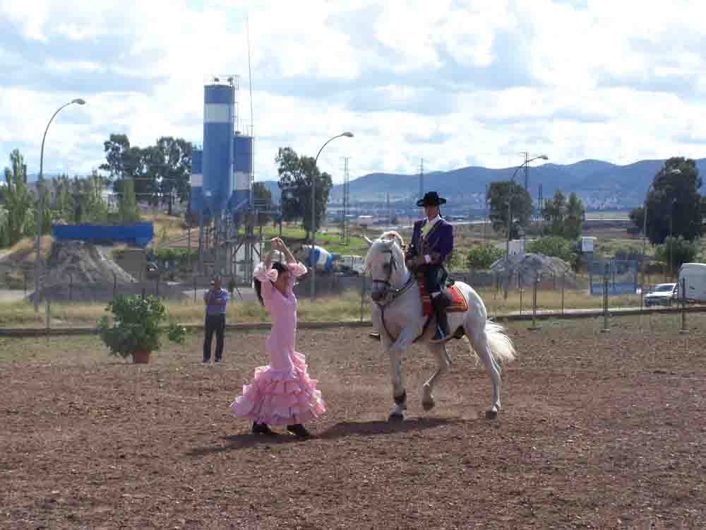 Actividades ecuestres
