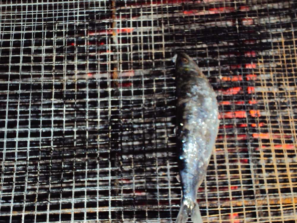 Entierro de la sardina