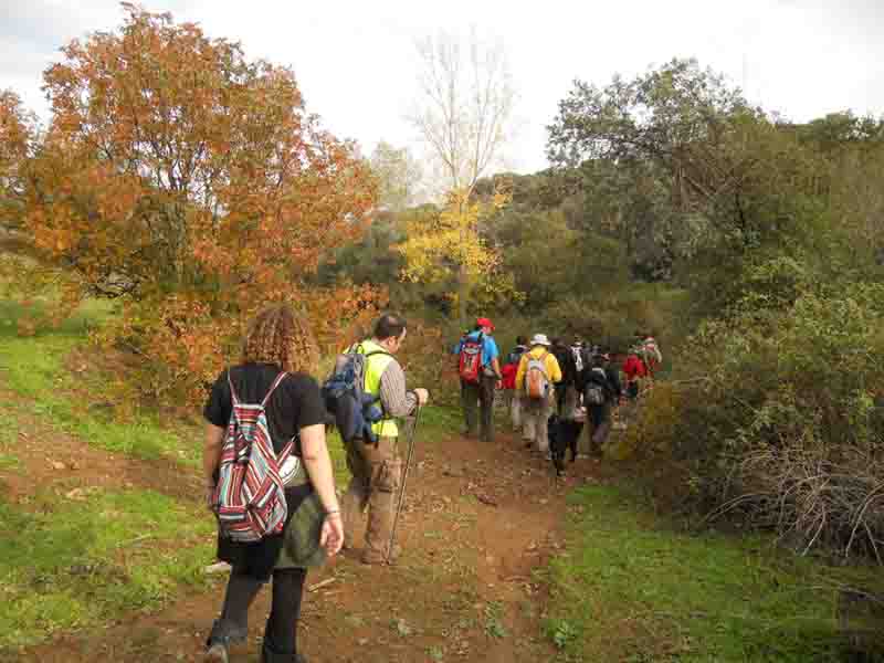  Senderismo por la Sierra Morena cordobesa